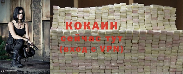 стафф Абинск