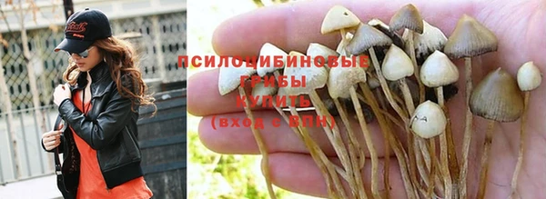 ГАЛЛЮЦИНОГЕННЫЕ ГРИБЫ Абдулино